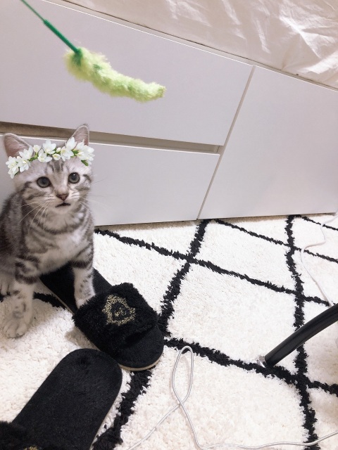 写メ