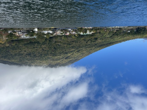 写メ