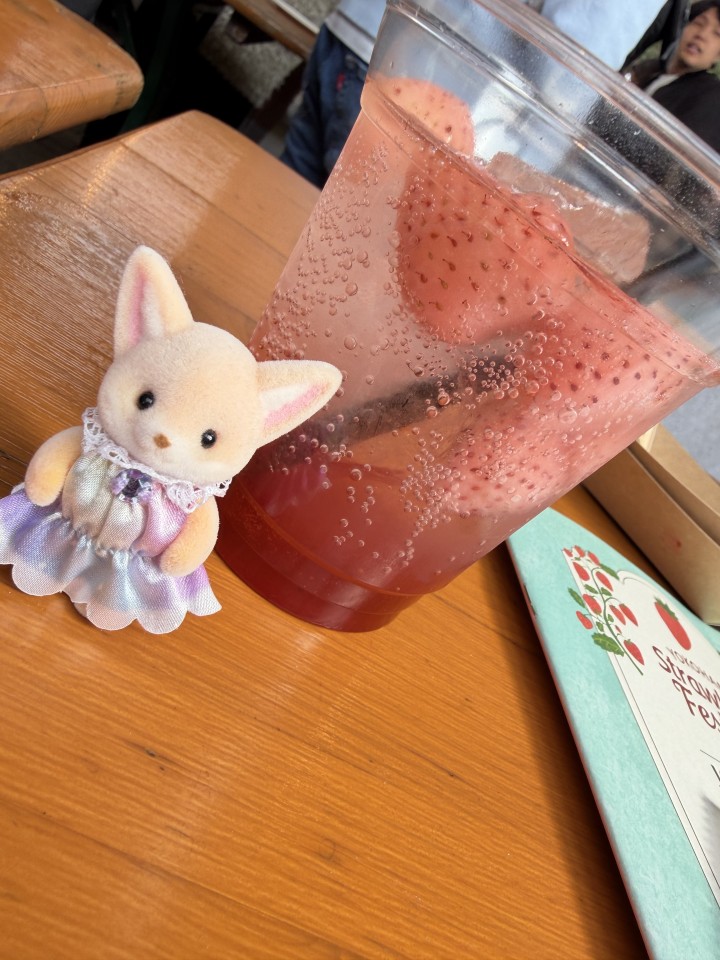 アップロード画像