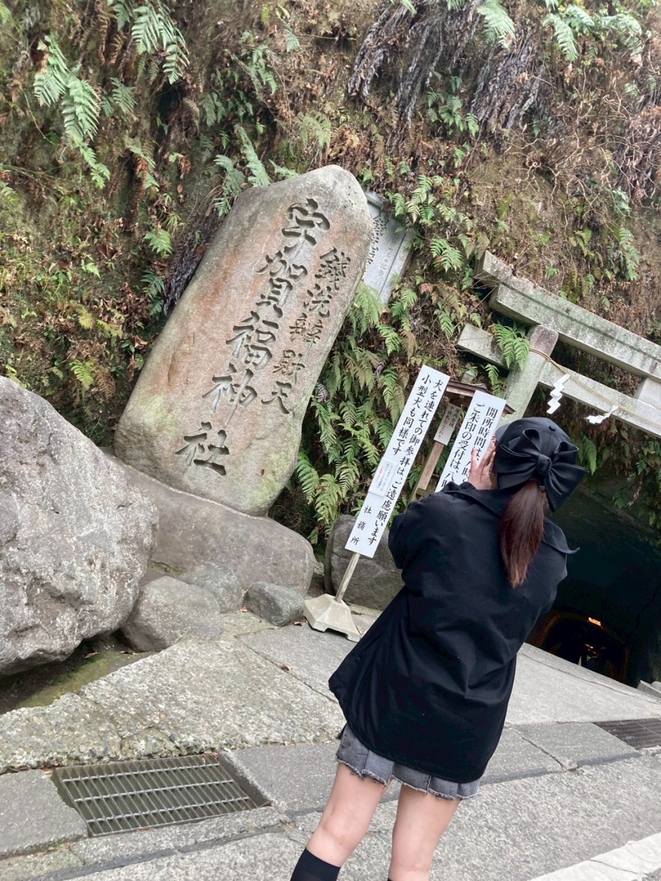 アップロード画像