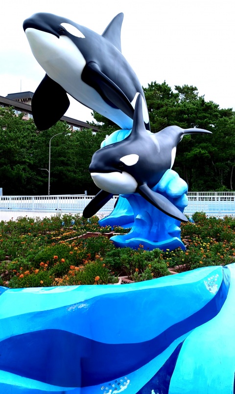 写メ