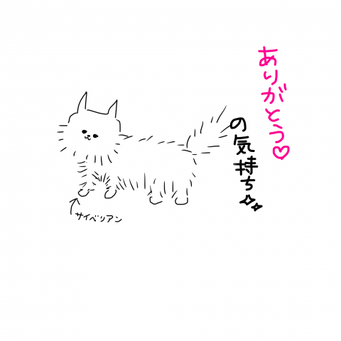 写メ
