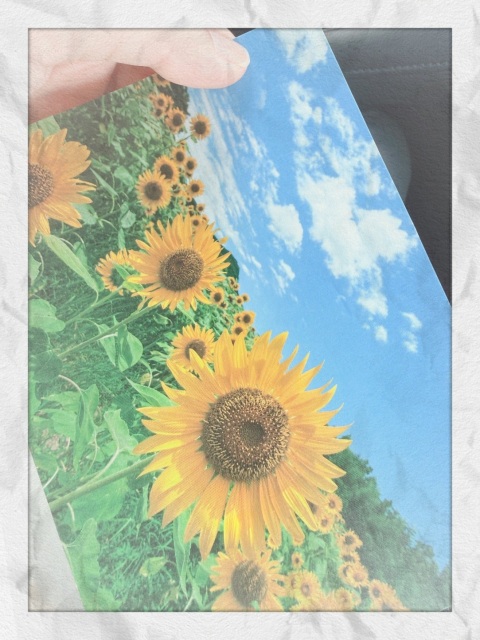 写メ