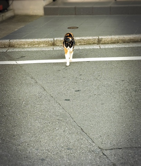 写メ