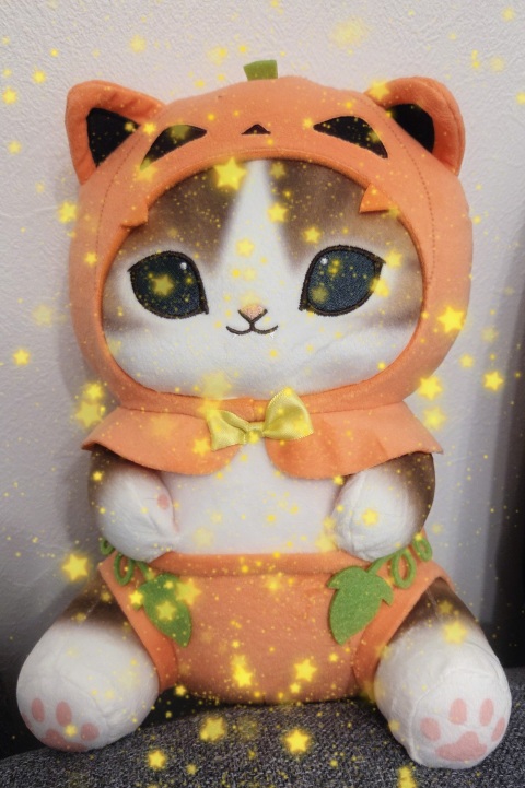 写メ